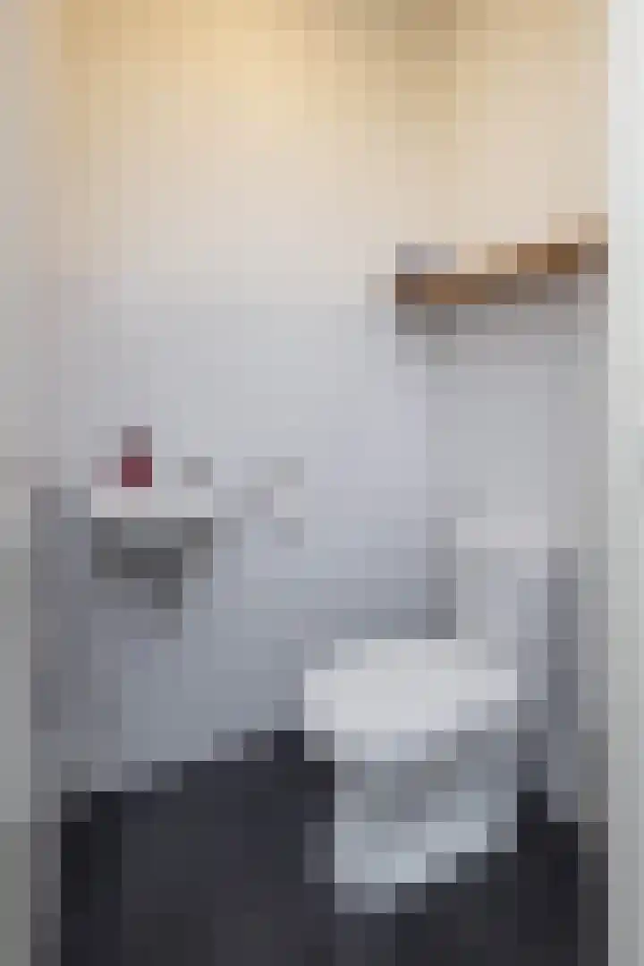 Baars 28 Borne thumbnail 13