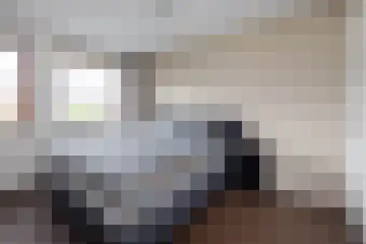 Baars 28 Borne thumbnail 14