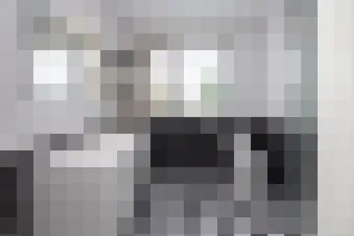 Baars 28 Borne thumbnail 15