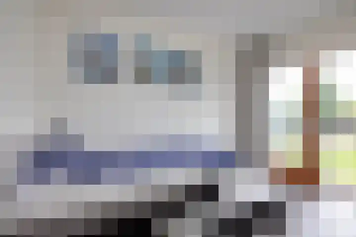 Baars 28 Borne thumbnail 18