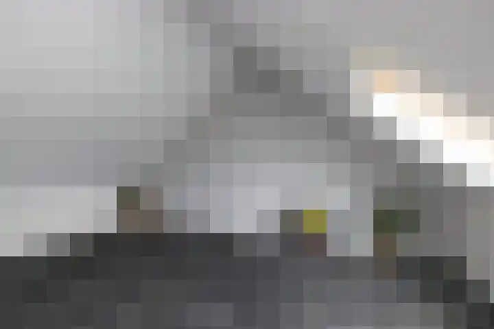 Baars 28 Borne thumbnail 20