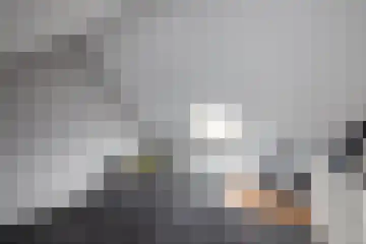 Baars 28 Borne thumbnail 21