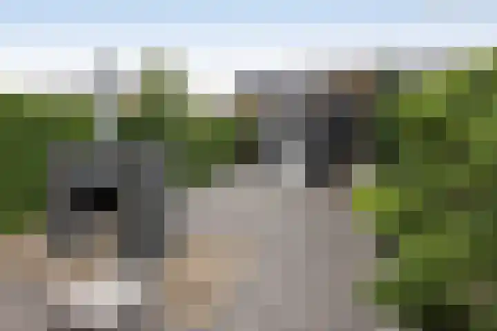 Baars 28 Borne thumbnail 23