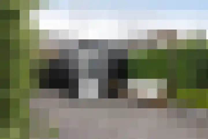 Baars 28 Borne thumbnail 24