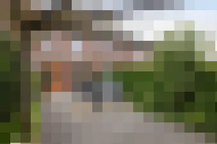 Baars 28 Borne thumbnail 25