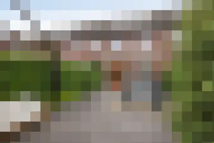 Baars 28 Borne thumbnail 26