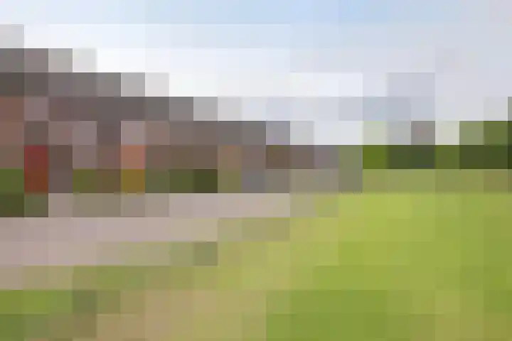 Baars 28 Borne thumbnail 28