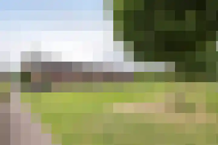 Baars 28 Borne thumbnail 29