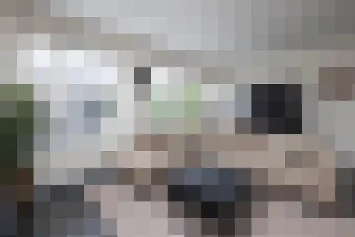 Baars 28 Borne thumbnail 4