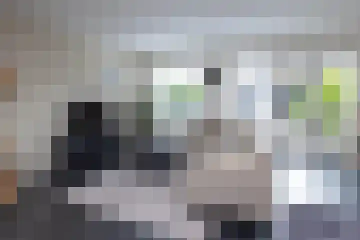 Baars 28 Borne thumbnail 5