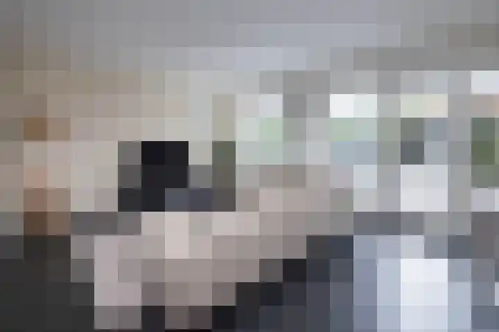 Baars 28 Borne thumbnail 6