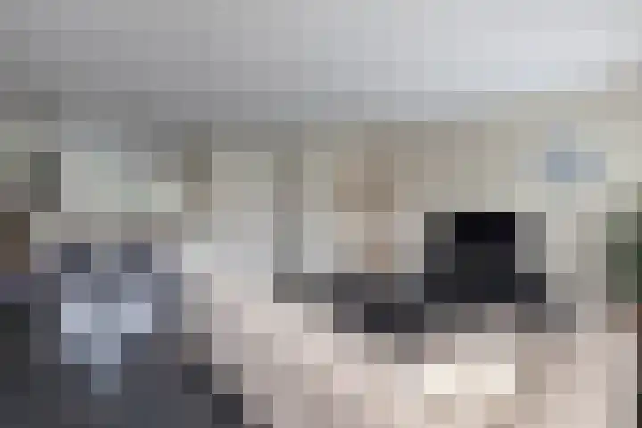 Baars 28 Borne thumbnail 7