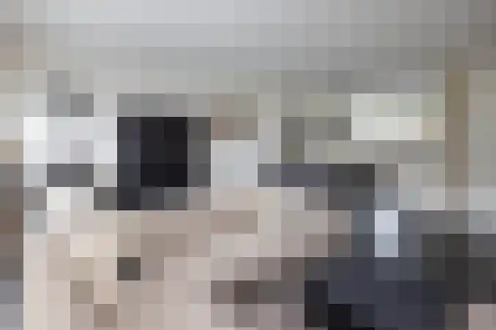 Baars 28 Borne thumbnail 8