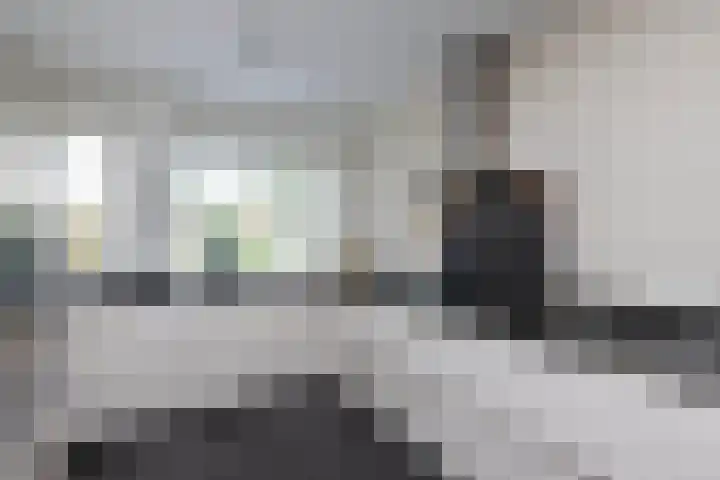 Baars 28 Borne thumbnail 9