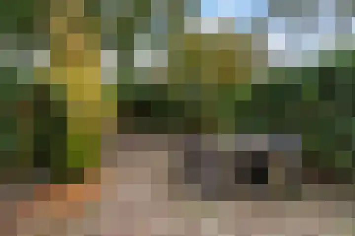 Baars 29 Blaricum thumbnail 11