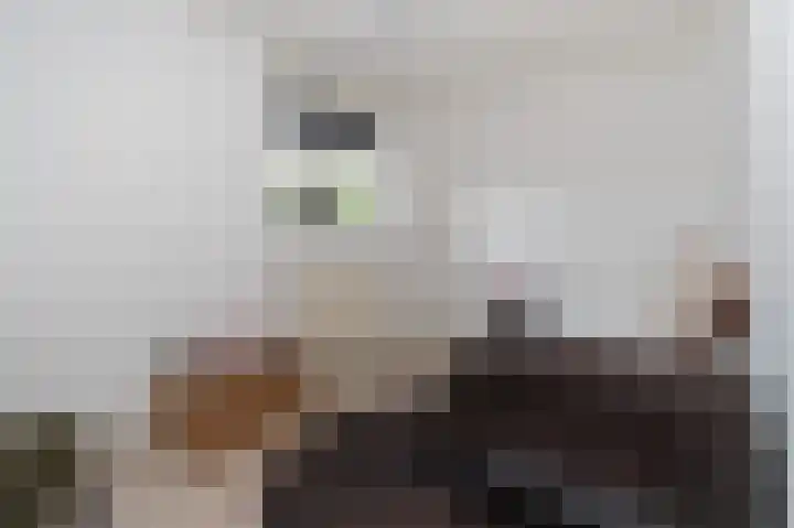 Baars 29 Blaricum thumbnail 16