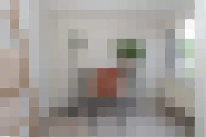 Baars 29 Blaricum thumbnail 18
