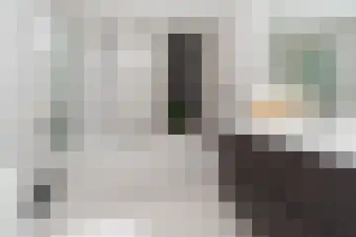 Baars 29 Blaricum thumbnail 19