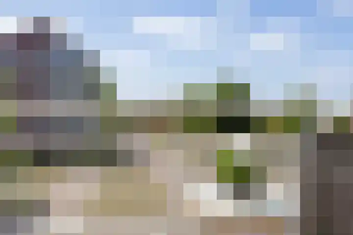 Baars 44 Hendrik-Ido-Ambacht thumbnail 15