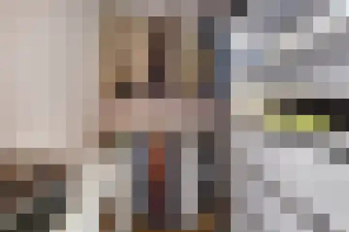 Baars 44 Hendrik-Ido-Ambacht thumbnail 21