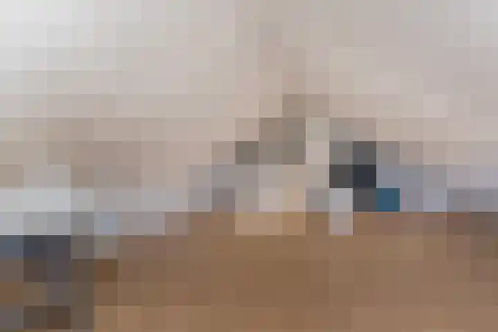 Baars 44 Hendrik-Ido-Ambacht thumbnail 23