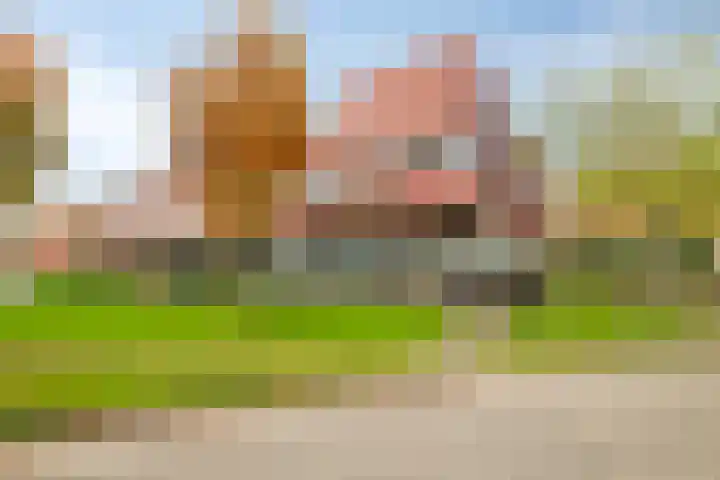 Baars 51 Amersfoort thumbnail 40