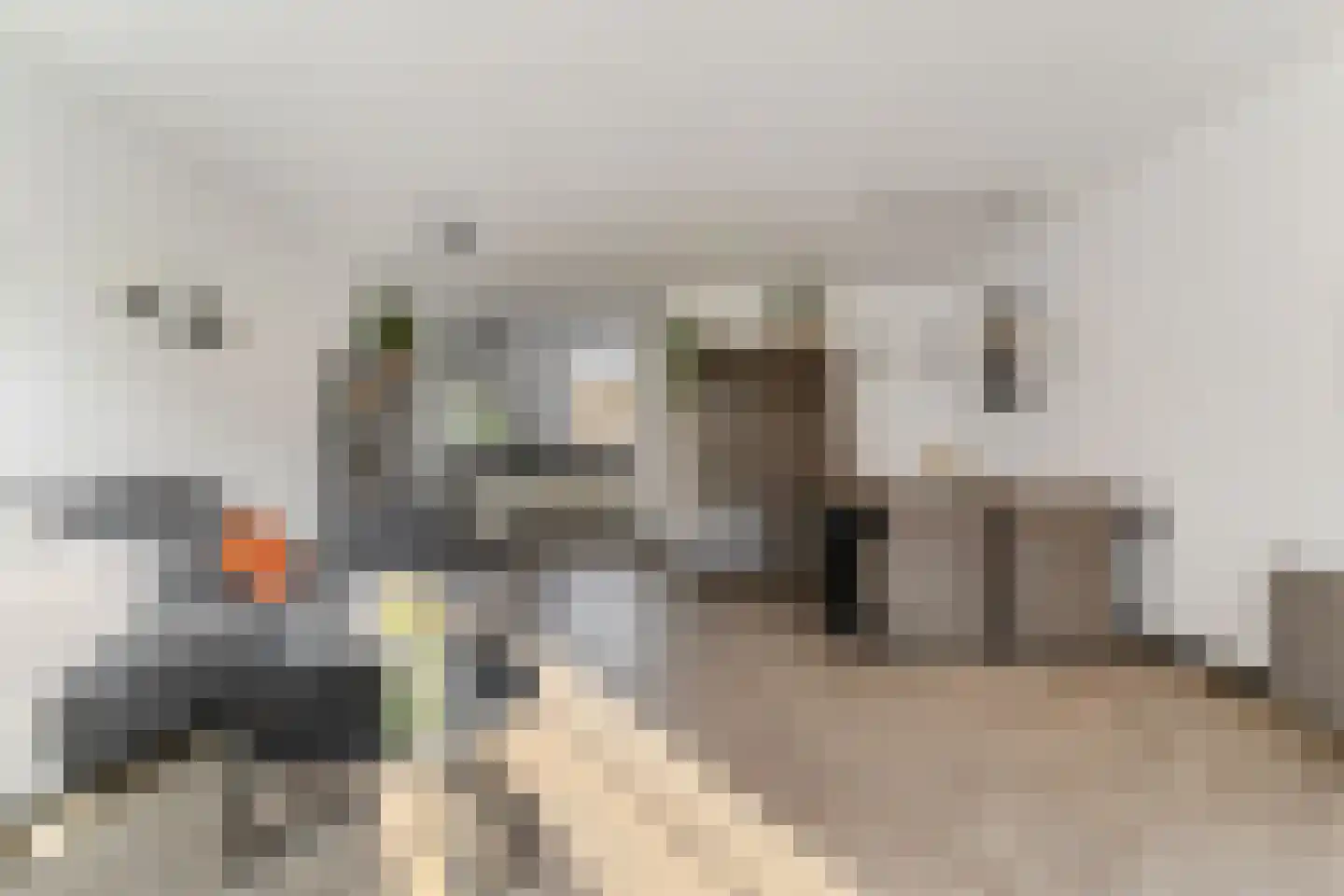 Baars 6 Hendrik-Ido-Ambacht thumbnail 10