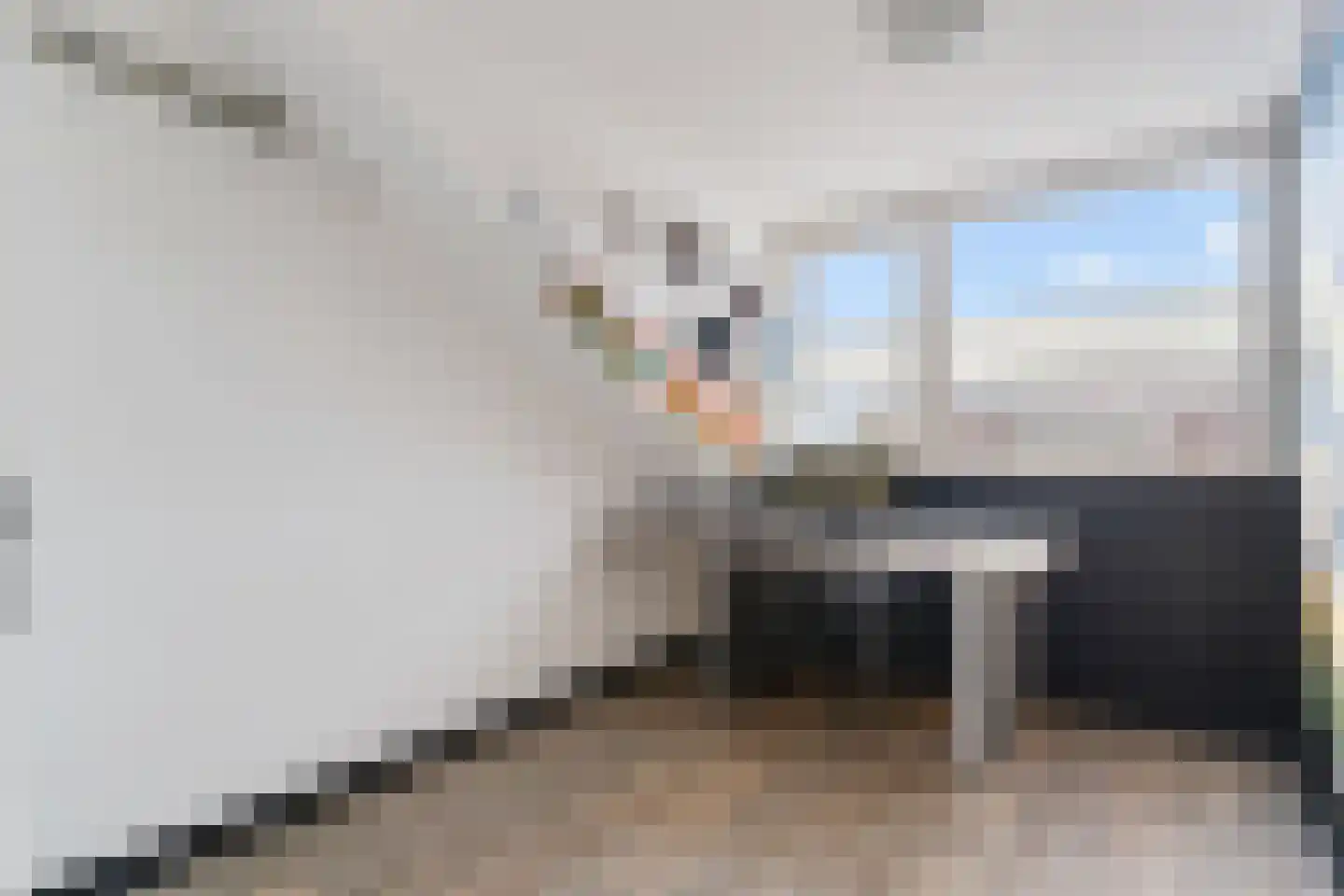 Baars 6 Hendrik-Ido-Ambacht thumbnail 36