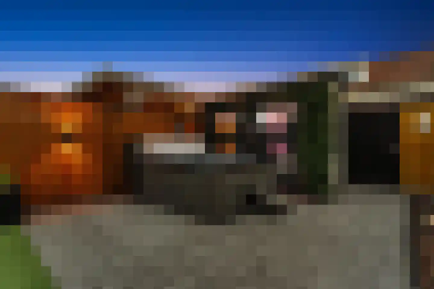 Baars 6 Hendrik-Ido-Ambacht thumbnail 50