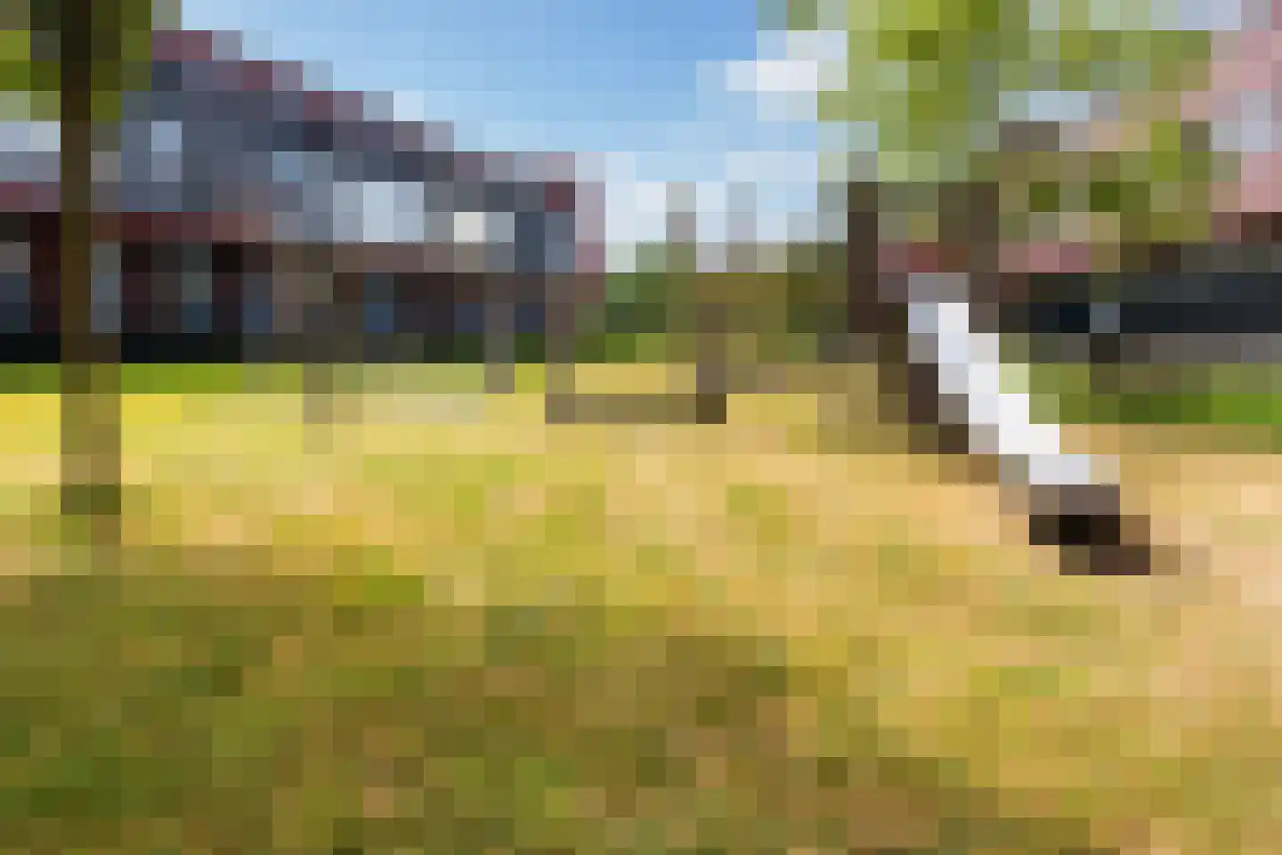Baars 61 Amersfoort thumbnail 43