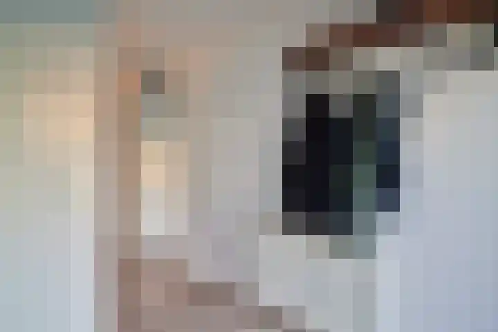 Baars 63 Amersfoort thumbnail 11
