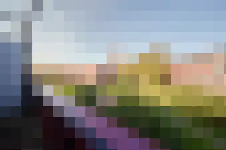 Baars 63 Amersfoort thumbnail 35