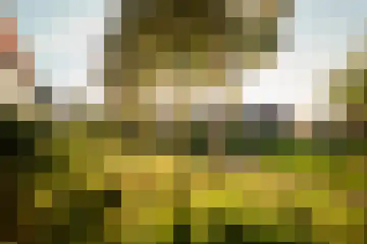 Baars 63 Amersfoort thumbnail 7