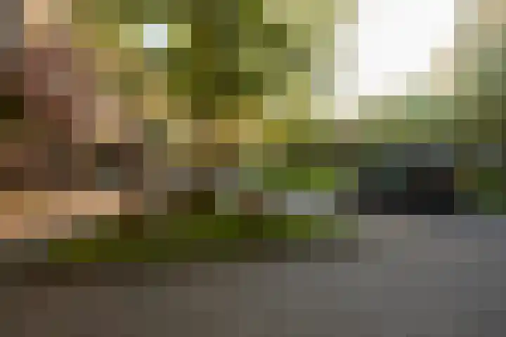 Baars 63 Amersfoort thumbnail 8