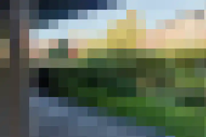 Baars 63 Amersfoort thumbnail 9