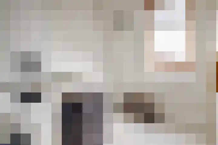 Baars 68 Hendrik-Ido-Ambacht thumbnail 30