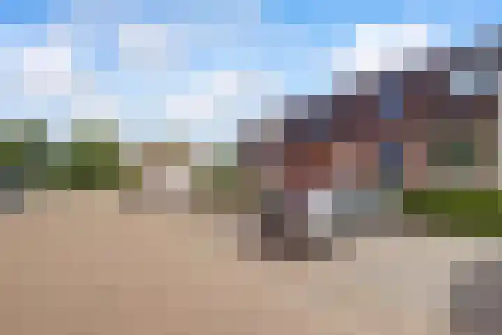 Baars 68 Hendrik-Ido-Ambacht thumbnail 39