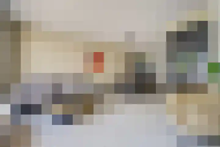 Baars 68 Hendrik-Ido-Ambacht thumbnail 8