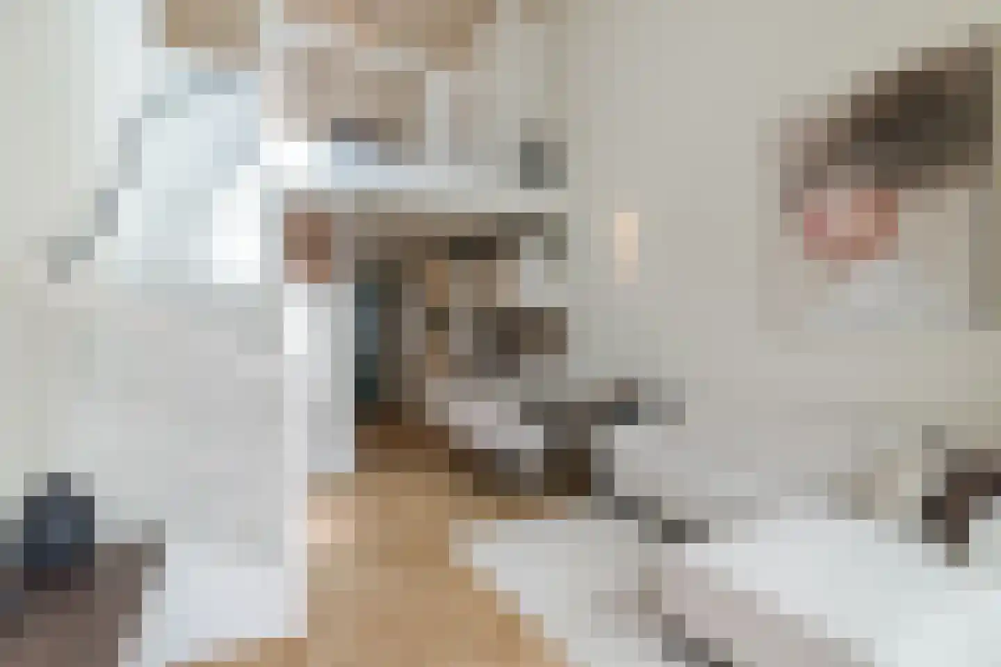 Baarsakker 21 Erp thumbnail 15
