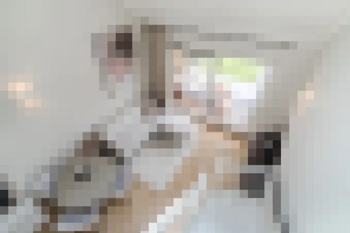 Baarsakker 21 Erp thumbnail 22