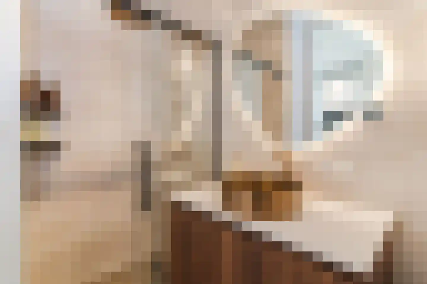 Baarsakker 21 Erp thumbnail 24