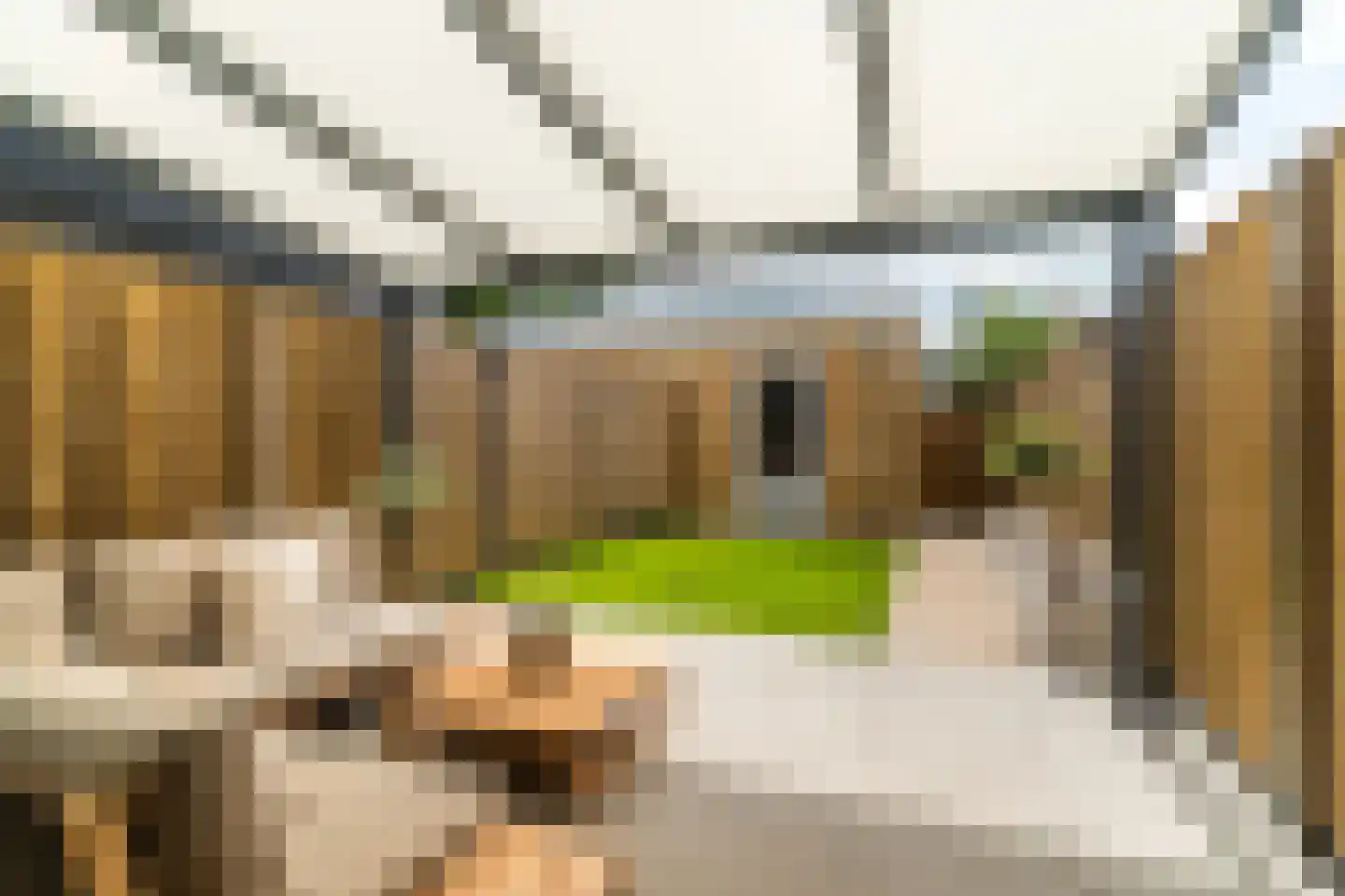 Baarsakker 21 Erp thumbnail 26