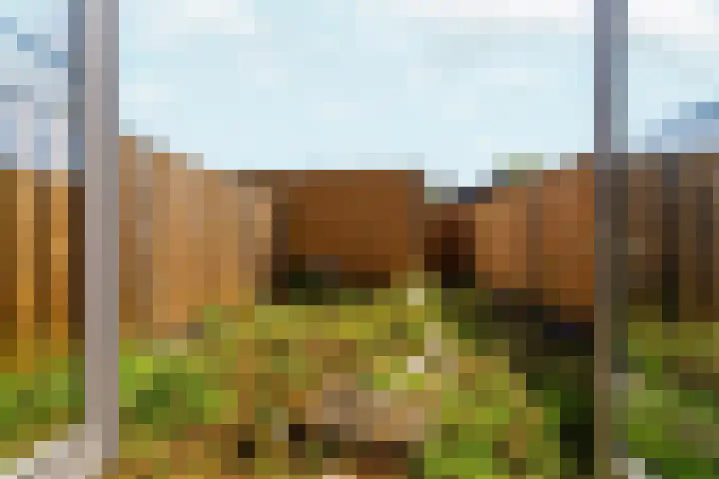 Baarsakker 25 Erp thumbnail 19