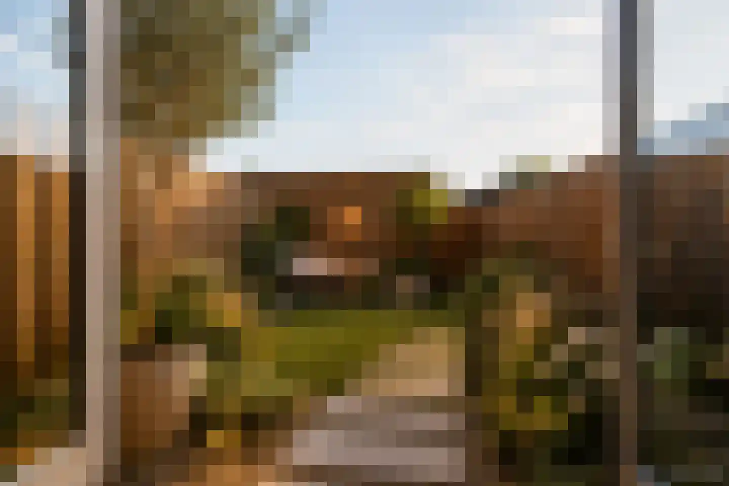 Baarsakker 25 Erp thumbnail 20
