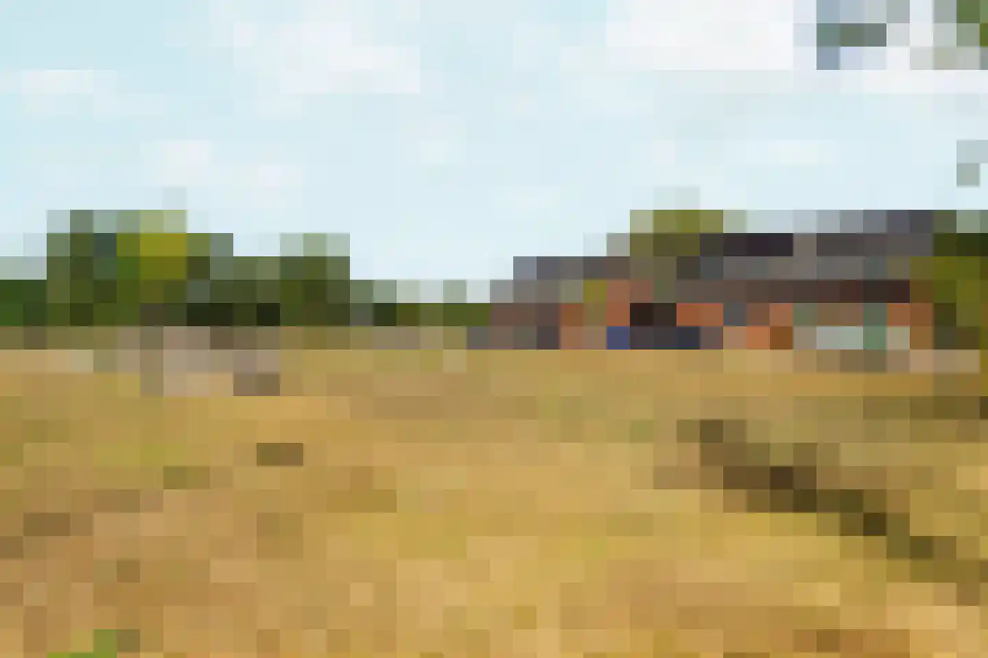 Baarsakker 25 Erp thumbnail 23