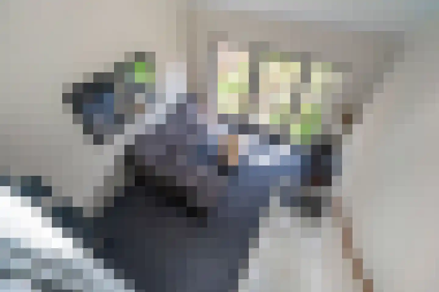 Baarsakker 25 Erp thumbnail 4