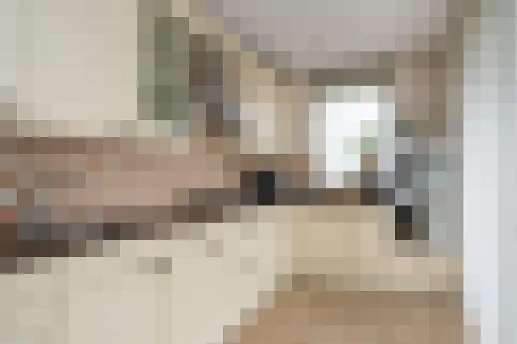 Baarschootsekreek 2 G Rotterdam thumbnail 13