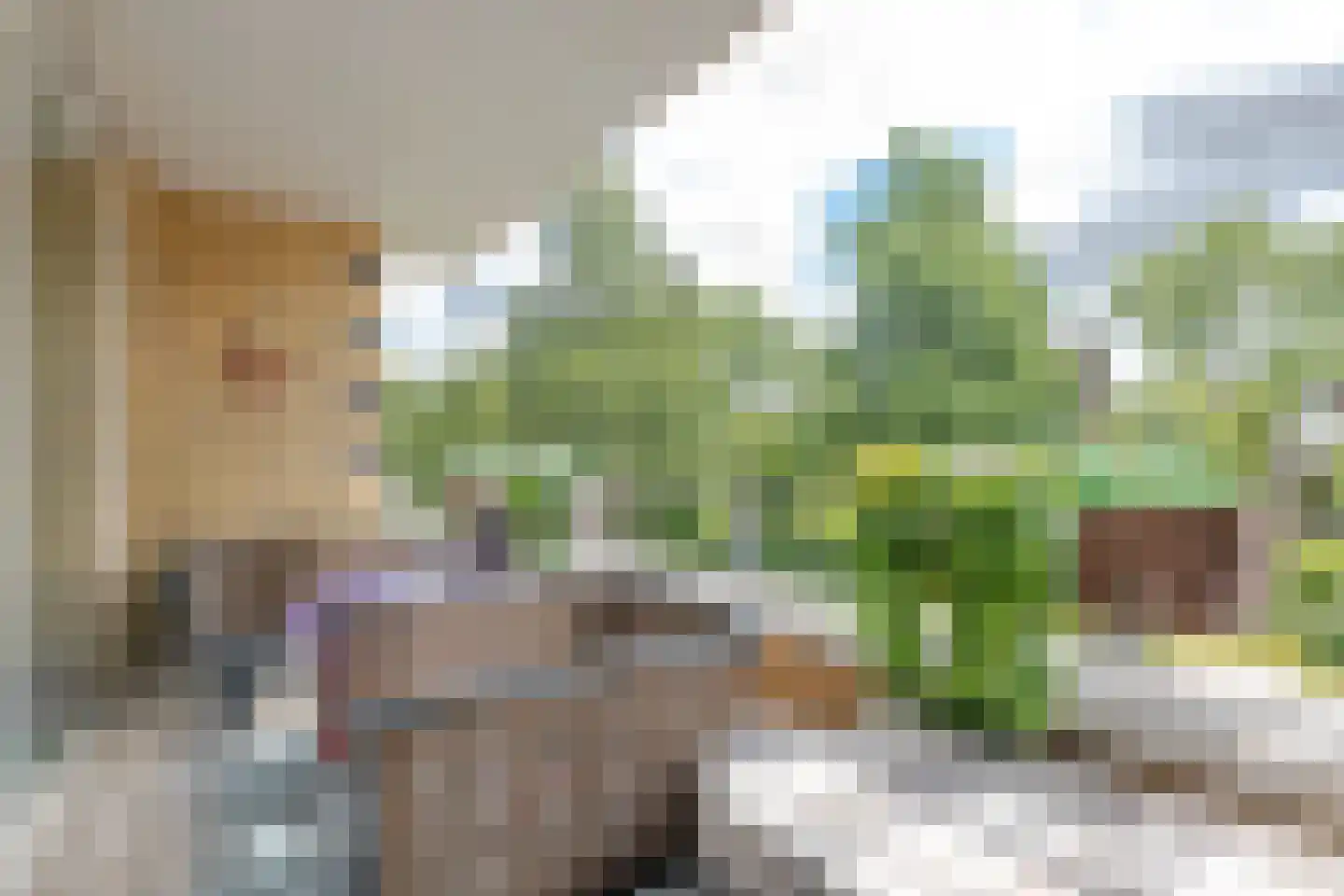 Baarschootsekreek 2 G Rotterdam thumbnail 15