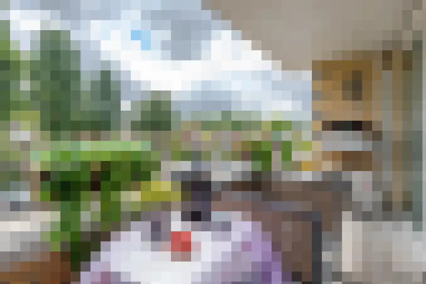 Baarschootsekreek 2 G Rotterdam thumbnail 16