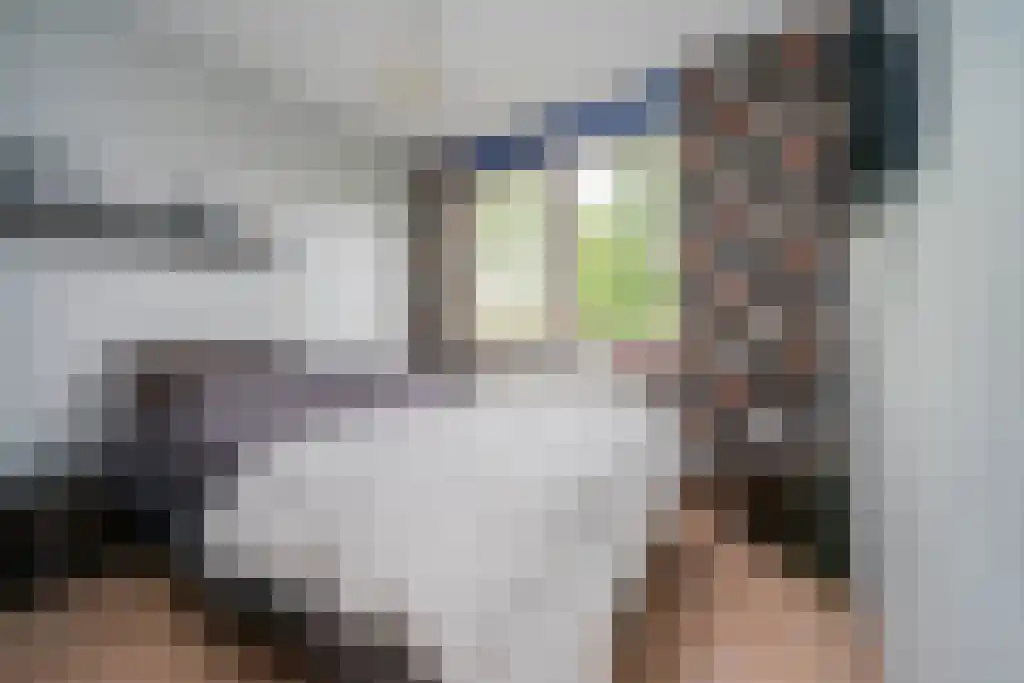 Baarschootsekreek 2 G Rotterdam thumbnail 18